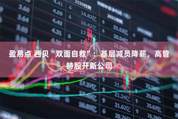 盈易点 西贝“双面自救”：基层减员降薪，高管持股开新公司
