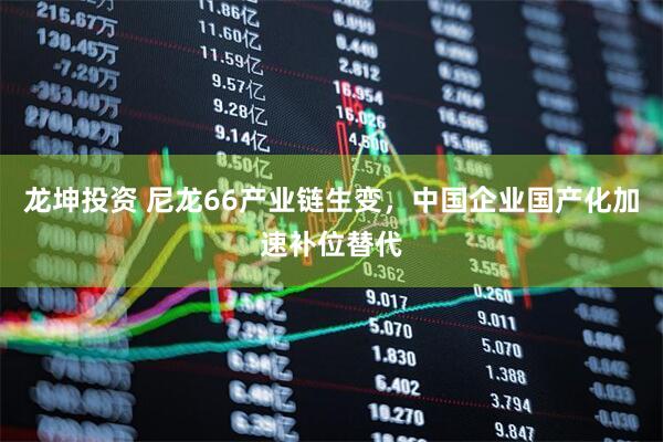 龙坤投资 尼龙66产业链生变，中国企业国产化加速补位替代