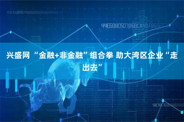 兴盛网 “金融+非金融”组合拳 助大湾区企业“走出去”