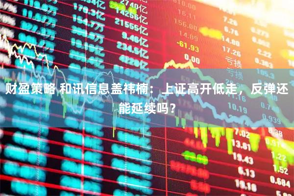 财盈策略 和讯信息盖祎楠：上证高开低走，反弹还能延续吗？