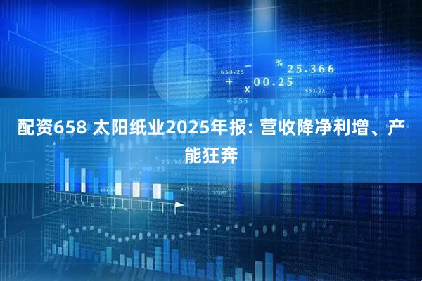 配资658 太阳纸业2025年报: 营收降净利增、产能狂奔