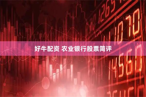 好牛配资 农业银行股票简评