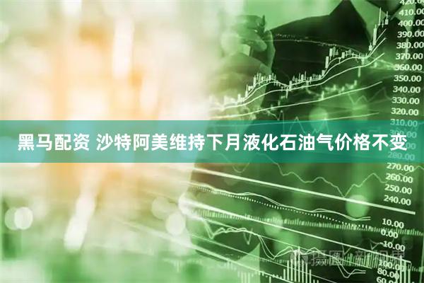 黑马配资 沙特阿美维持下月液化石油气价格不变