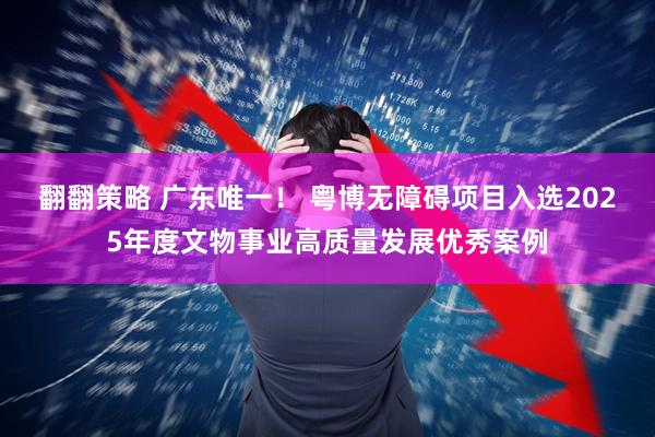 翻翻策略 广东唯一！ 粤博无障碍项目入选2025年度文物事业高质量发展优秀案例
