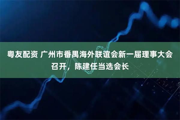 粤友配资 广州市番禺海外联谊会新一届理事大会召开，陈建任当选会长