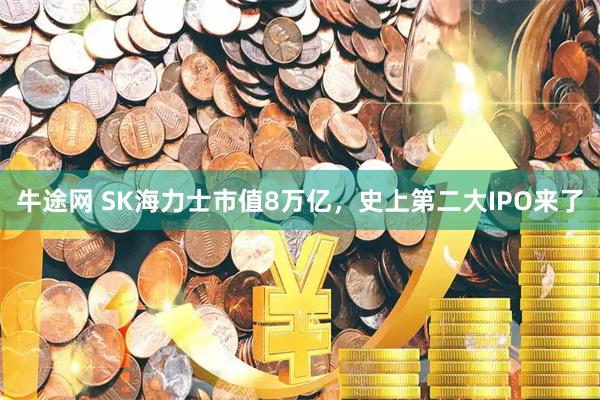 牛途网 SK海力士市值8万亿，史上第二大IPO来了