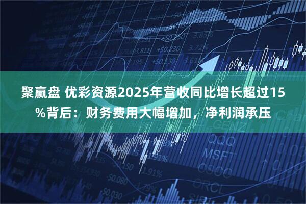 聚赢盘 优彩资源2025年营收同比增长超过15%背后：财务费用大幅增加，净利润承压