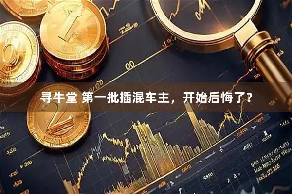 寻牛堂 第一批插混车主，开始后悔了？