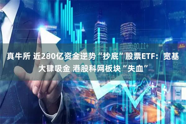 真牛所 近280亿资金逆势“抄底”股票ETF：宽基大肆吸金 港股科网板块“失血”
