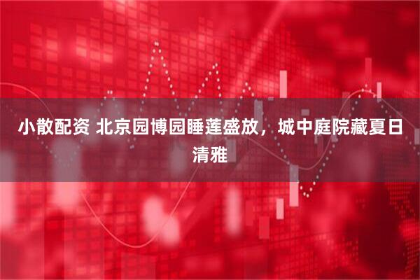 小散配资 北京园博园睡莲盛放，城中庭院藏夏日清雅