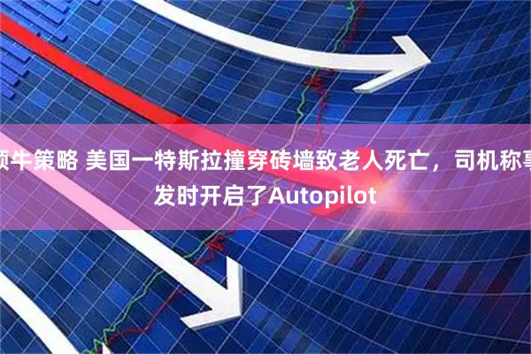 领牛策略 美国一特斯拉撞穿砖墙致老人死亡，司机称事发时开启了Autopilot