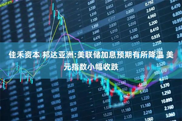 佳禾资本 邦达亚洲:美联储加息预期有所降温 美元指数小幅收跌