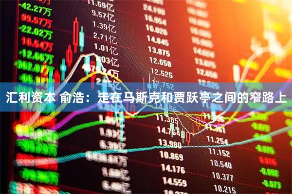 汇利资本 俞浩：走在马斯克和贾跃亭之间的窄路上