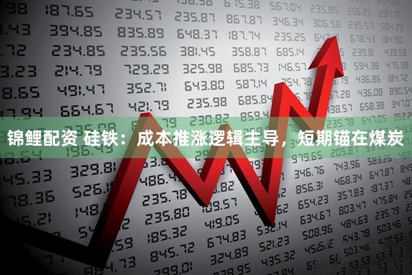 锦鲤配资 硅铁：成本推涨逻辑主导，短期锚在煤炭